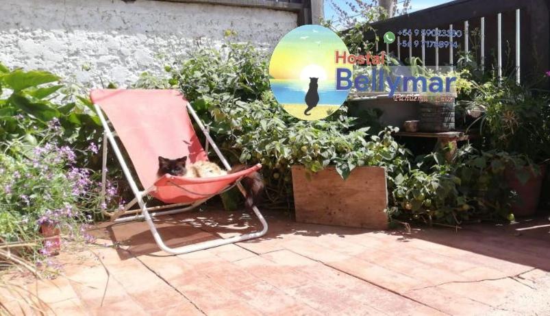 Hostal Bellymar Pichilemu Buitenkant foto